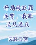开局被贬罪兵营，我率义从造反排行榜