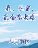 我，社畜，氪金养老婆在线阅读全文